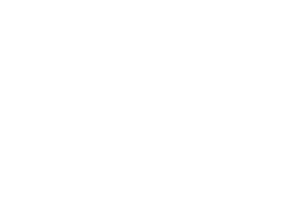 Lyon Logo