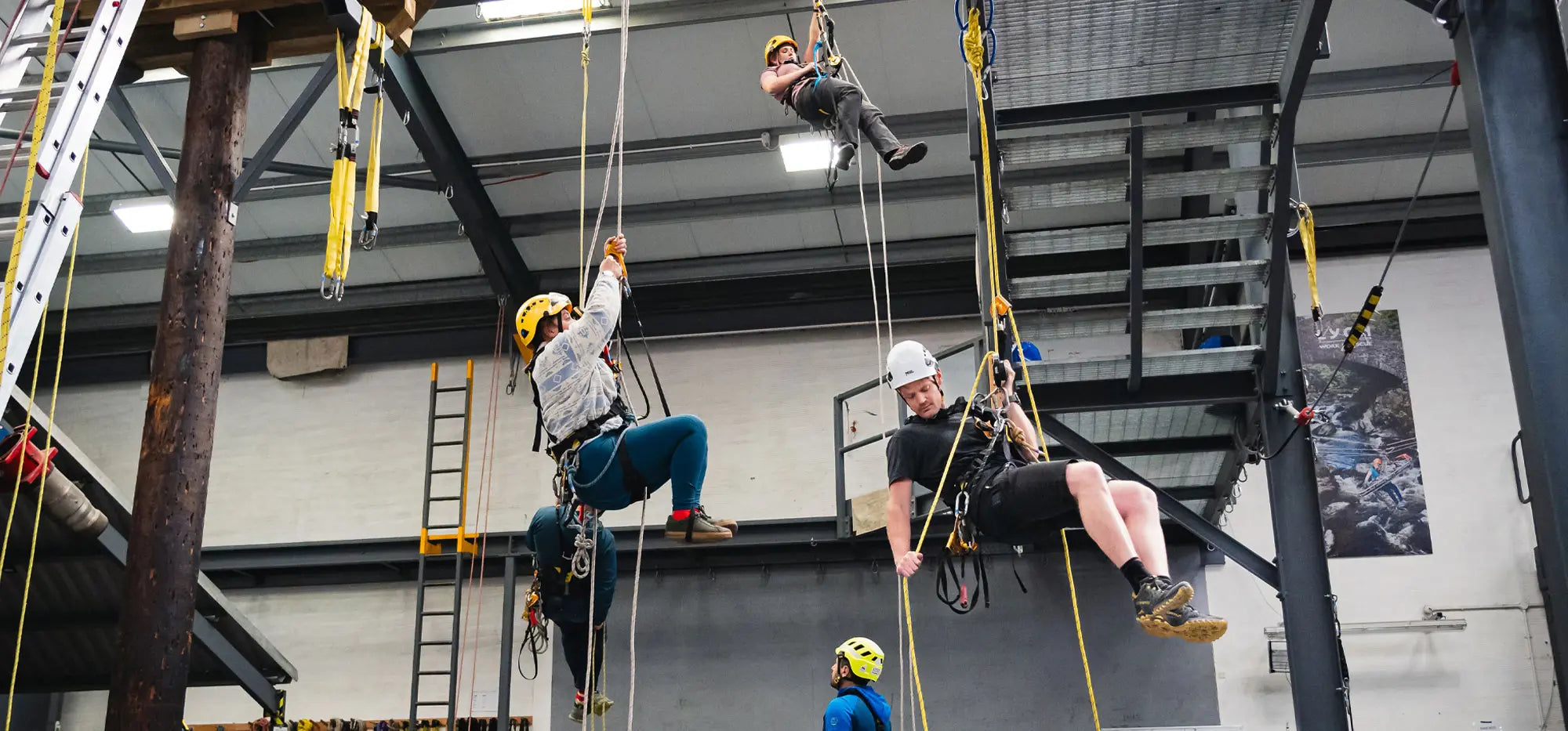 People practicing indoor climbing on ropes in a gym setting.