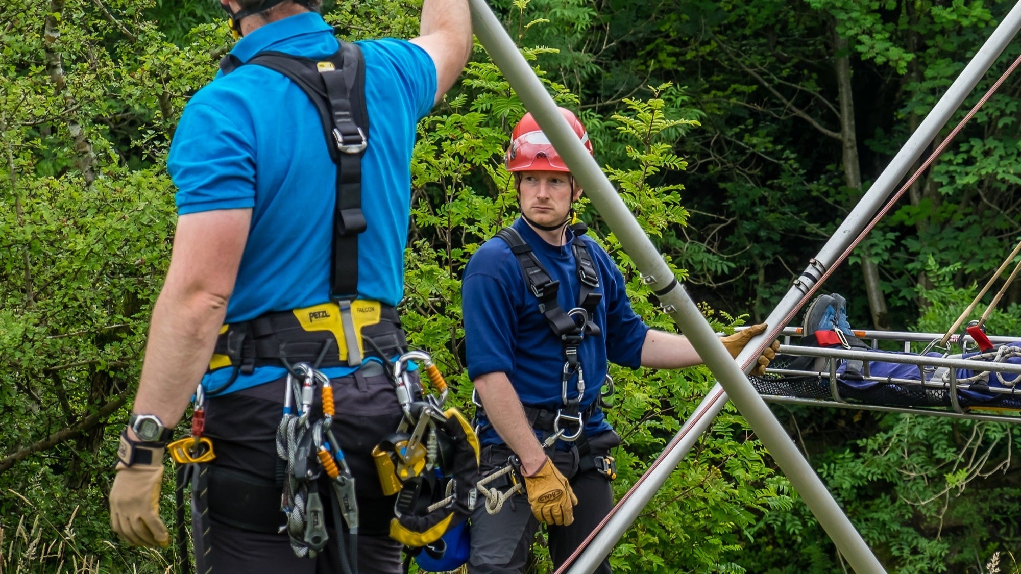 Harnesses