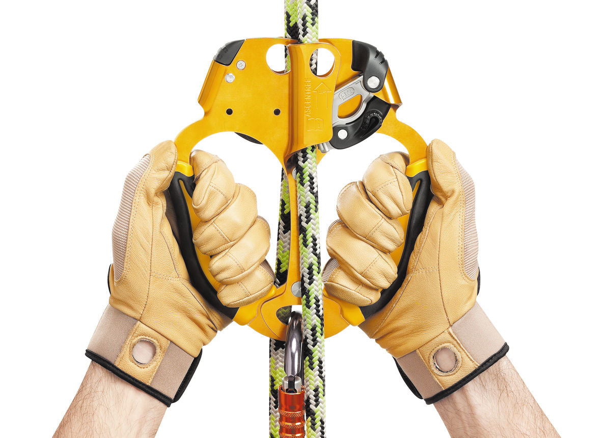 Petzl ASCENTREE Rope Clamp