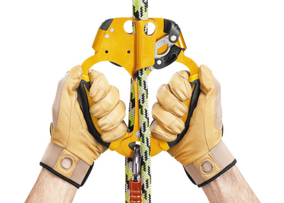 Petzl ASCENTREE Rope Clamp 2
