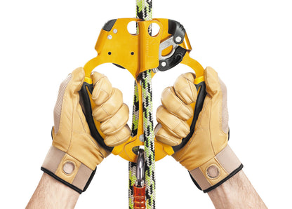 Petzl ASCENTREE Rope Clamp