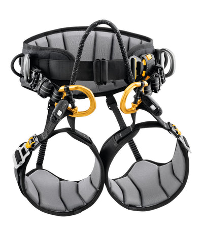 Black and gray climbing harness with gold hardware on a white background