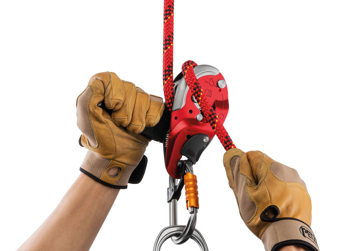 Petzl I'D L Descender Black