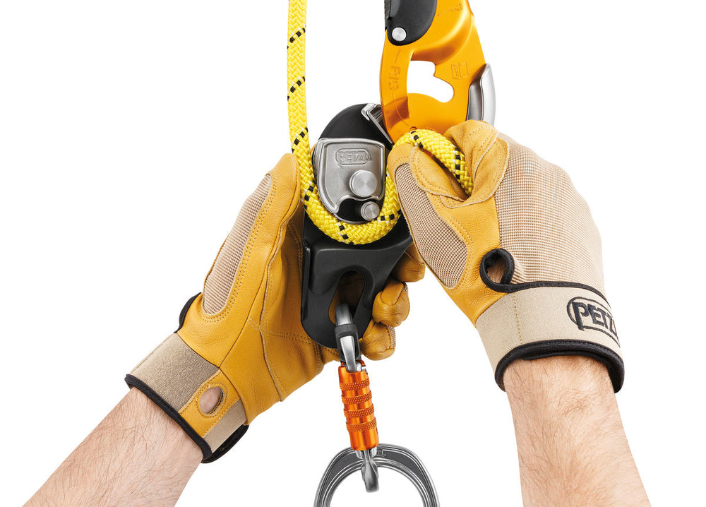 Petzl RIG Descender – Lyon Work and Rescue