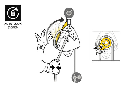 Petzl MAESTRO S Descender