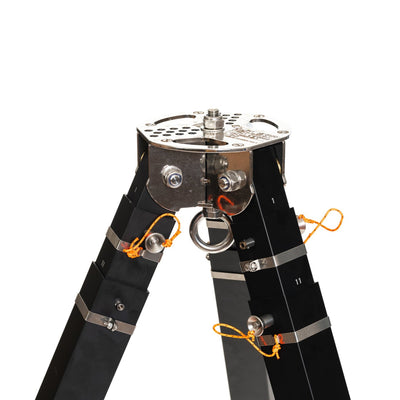 Lyon Tribus