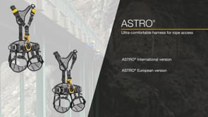Petzl ASTRO Harness Int Version Black 2025