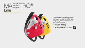 Petzl MAESTRO S Descender