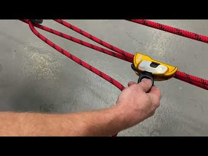 Petzl MAESTRO S Descender